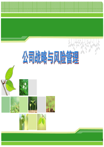 第一章_战略与战略管理