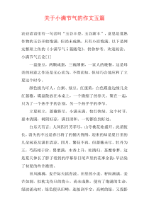 关于小满节气的作文五篇