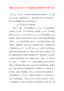 粮食分局全年工作总结范文和来年工作计划