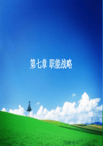 第七章职能战略