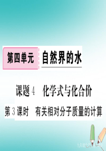 2018年秋九年级化学上册 第四单元 自然界的水 课题4 化学式与化合价 第3课时 有关相对分子质量