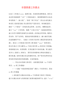 市国资委工作要点