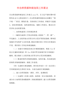 市自然资源和规划局工作要点