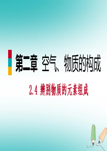 2018年秋九年级化学上册 第二章 空气、物质的构成 2.4 辨别物质的元素组成练习课件 （新版）粤
