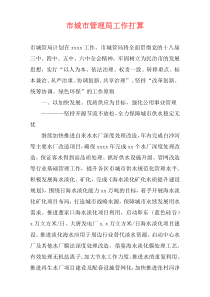 市城市管理局工作打算