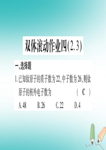 2018年秋九年级化学全册 双休滚动作业（4）习题课件 （新版）鲁教版