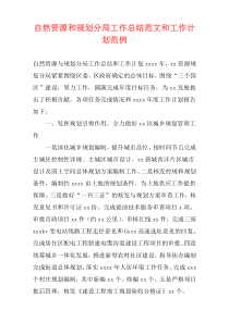 自然资源和规划分局工作总结范文和工作计划范例