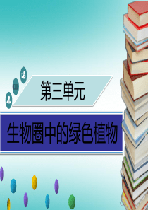 2018年秋季七年级生物上册 第三单元 第5章 第1节 光合作用（第2课时）习题课件 （新版）北师大