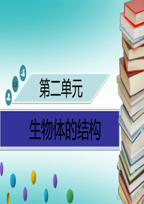 2018年秋季七年级生物上册 第二单元 第4章 第2节 生物体的器官、系统习题课件 （新版）北师大版