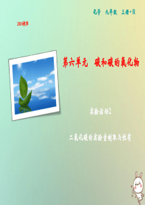 2018年秋季九年级化学上册 第6单元 碳和碳的氧化物 实验活动2 二氧化碳的实验室制取与性质作业课