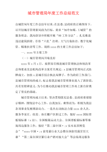 城市管理局年度工作总结范文