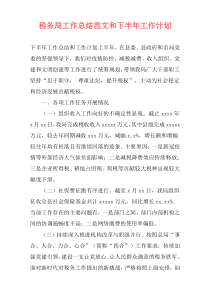 税务局工作总结范文和下半年工作计划