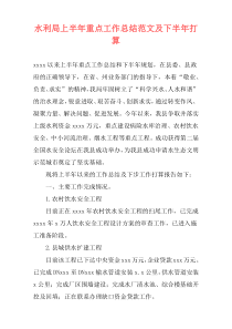 水利局上半年重点工作总结范文及下半年打算