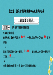 2018年七年级生物上册 第三单元 第四章《绿色植物是生物圈中有机物的制造者》复习课件 （新版）新人