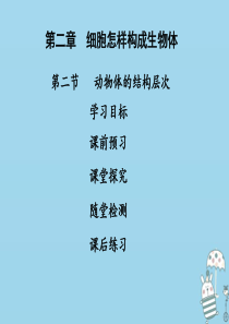 2018年七年级生物上册 第二单元 第二章 第二节动物体的结构层次课件 （新版）新人教版