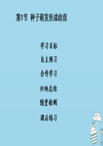 2018年七年级生物上册 第3单元 第6章 第1节 种子萌发形成幼苗课件 （新版）北师大版