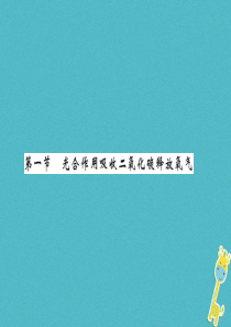 2018年七年级生物上册 第3单元 第5章 第一节 光合作用吸收二氧化碳释放氧气习题课件 （新版）新