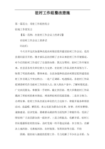 驻村工作组整改措施