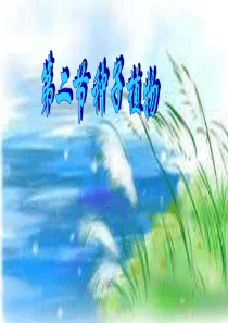 2018年七年级生物上册 3.1.2《种子植物》课件4 （新版）新人教版