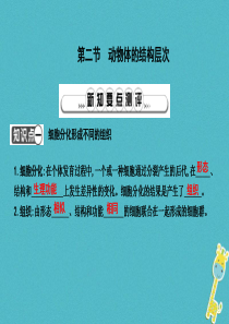 2018年七年级生物上册 2.2.2动物体的结构层次复习课件 （新版）新人教版