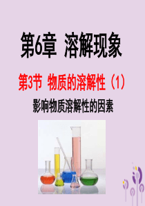 2018年九年级化学下册 第6章 溶解现象 6.3 物质的溶解性（1）课件 沪教版