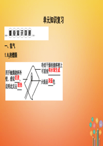 2018年九年级化学上册 第四单元《自然界的水》单元知识复习课件 （新版）新人教版