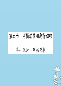 2018年八年级生物上册 第五单元 第一章 第五节 两栖动物和爬行动物（第1课时 两栖动物）习题课件