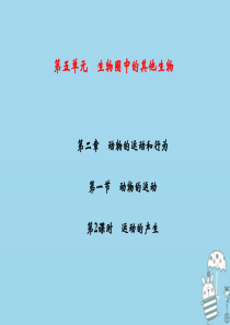 2018年八年级生物上册 第5单元 第2章 第1节 动物的运动（第2课时 运动的产生）习题课件 （新