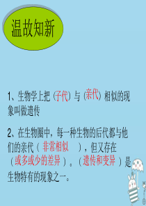 2018年八年级生物上册 4.4.4《生物的变异》课件1 （新版）济南版