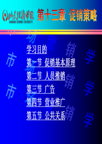 第十三章 促销策略