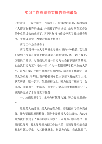 实习工作总结范文报告范例最新