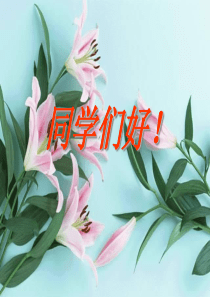 第十三讲国际战略和外交政策