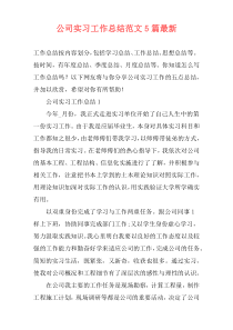 公司实习工作总结范文5篇最新