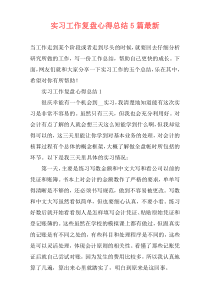 实习工作复盘心得总结5篇最新