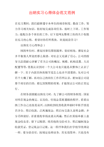 出纳实习心得体会范文范例