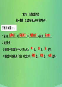 2018届九年级化学下册 第7章 应用广泛的酸、碱、盐 第3节 几种重要的盐 第1课时 盐及复分解反
