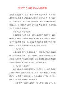 毕业个人顶岗实习总结最新