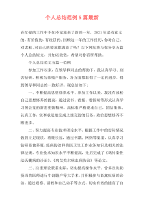 个人总结范例5篇最新