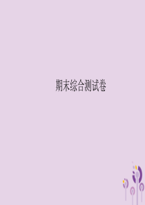 2018春九年级化学下册 期末综合测试卷课件 （新版）新人教版