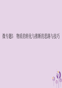 2018春九年级化学下册 第11单元 盐 化肥 微专题5 物质的转化与推断的思路与技巧课件 （新版）
