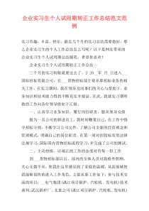 企业实习生个人试用期转正工作总结范文范例