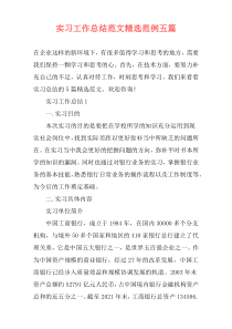实习工作总结范文精选范例五篇