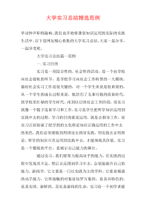大学实习总结精选范例
