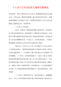 个人实习工作总结范文最新五篇精选