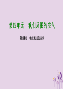 2018版中考化学复习方案 第6课时 物质组成的表示课件 鲁教版