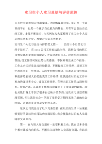 实习生个人实习总结与评价范例