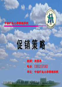 第十讲促销策略