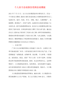 个人实习总结报告范例总结模板