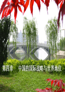 第四章中国的国际战略与地位