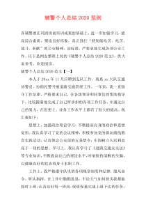 辅警个人总结2020范例